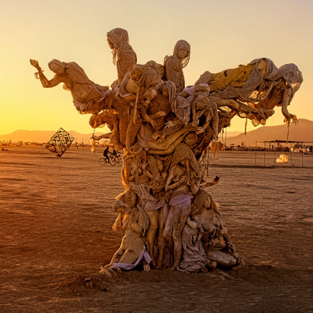 Womantree in front of a golden sunset